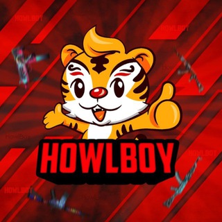HOWL CS2| ОБ ИНВЕСТИЦИЯХ