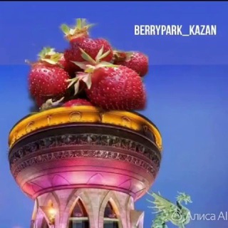 ПИТОМНИК ЯГОДЫ ГО (BERRYPARK_KAZAN)