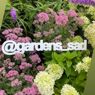 САДОВЫЙ ЦЕНТР GARDENS | МОСКВА