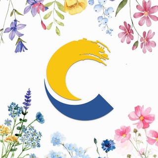 ДЕТСКИЙ ЦЕНТР «СОЗВЕЗДИЕ»