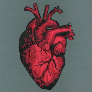 THE MEDICINE