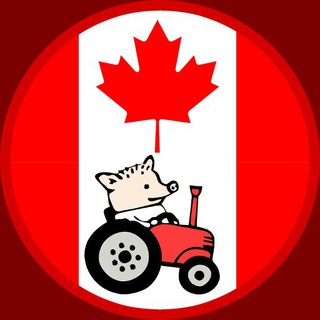 КАНАДА КАК НАДО - CANADAKAKNADO.INFO