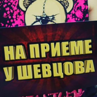 НА ПРИЁМЕ У ШЕВЦОВА