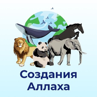 ТВОРЕНИЯ ГОСПОДА