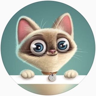 CATS_VINES