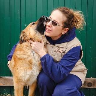 ANIMAL CARE: ПОМОЩЬ БЕЗДОМНЫМ ЖИВОТНЫМ
