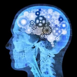 НЕЙРОПСИХОЛОГИЯ | ДЕТИ | ПСИХОЛОГИЯ| РАЗВИТИЕ