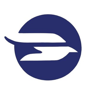 FLY TEAM