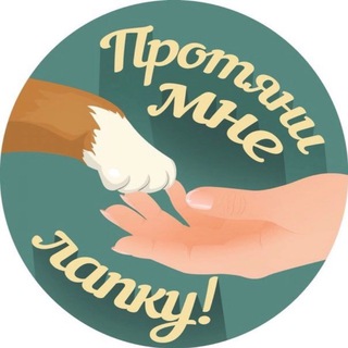 ПРОТЯНИ МНЕ ЛАПКУ