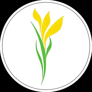ИНТЕРНЕТ-ГАЗЕТА СТЕПНЫЕ ВЕСТИ | НОВОСТИ