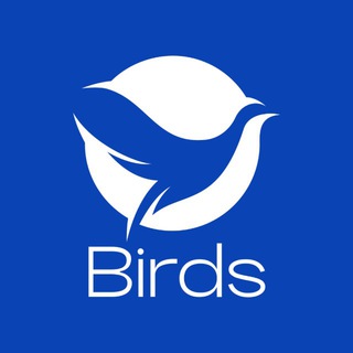 BIRDS- РАБОТА ЗА ГРАНИЦЕЙ