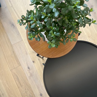 FURNITURE_MSK