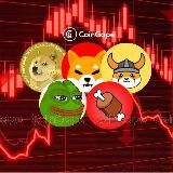 CRYPTO BULL