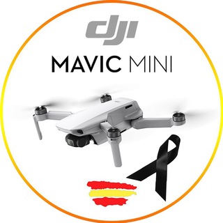 DJI MAVIC MINI 