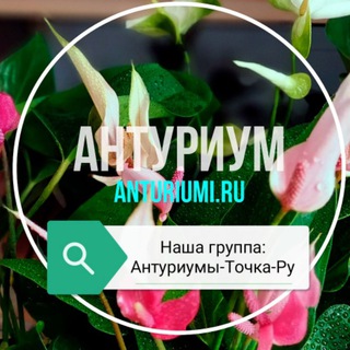 ГРУНТЫ И КОМПОНЕНТЫ