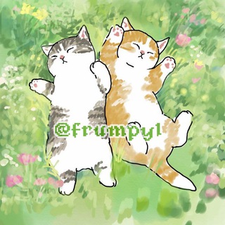 FRUMPYL♡