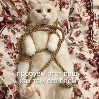 НЕБДСМЩИЦА