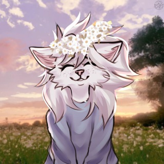 .⁠ ✧ ИВОВАЯ ПАЛАТА .
