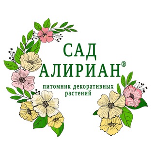 ПИТОМНИК САД АЛИРИАН