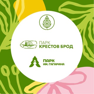 ПАРК ИМ. ГАГАРИНА ГОРОДСКОГО ОКРУГА ШАТУРА