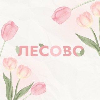 ЛЕСОВО | НАТУРАЛЬНЫЕ ДОБАВКИ