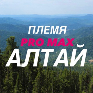 CHEKVIK