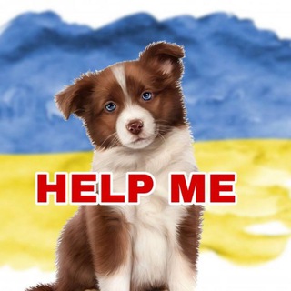 ANIMALS / КИЇВ