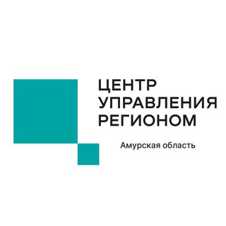 ЦУР АМУРСКОЙ ОБЛАСТИ