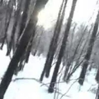 МОУ СОШ 17