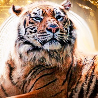 CRYPTO TIGER - ИНВЕСТИЦИИ, КРИПТОВАЛЮТЫ