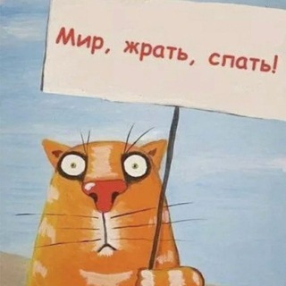 КОТОNEWS 