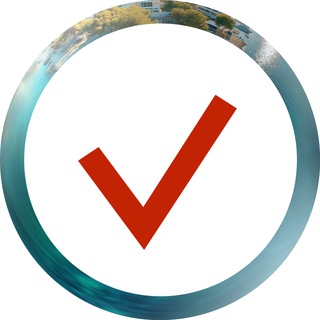 SELECTY IT LIVE