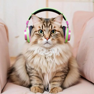 STRANNIK | MUSIC