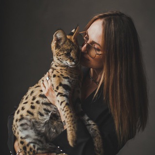 GOLDEN KITTIES