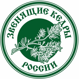 ЗВЕНЯЩИЕ КЕДРЫ РОССИИ