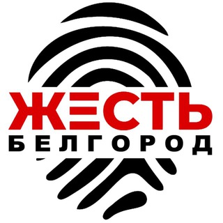 ЖЕСТЬ БЕЛГОРОД