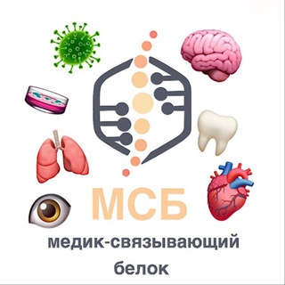 МСБ | МЕДИК-СВЯЗЫВАЮЩИЙ БЕЛОК