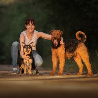 GOOD DOG: ЗООПСИХОЛОГ И КИНОЛОГ, ГУМАННЫЕ МЕТОДЫ