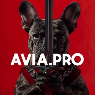 AVIA.PRO