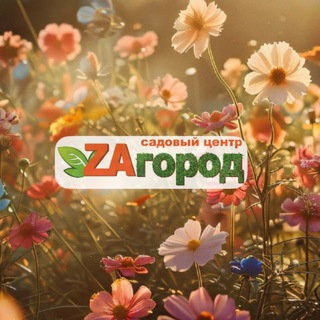 ZAГОРОД  УССУРИЙСК