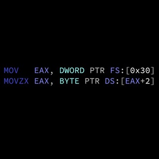 ASSEMBLY & REVERSE ENGINEERING [ITA]