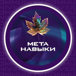 САМОРЕАЛИЗАЦИЯ ЧЕРЕЗ МЕТАНАВЫКИ