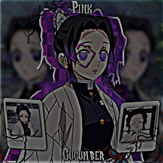 PINK CUCUMBER