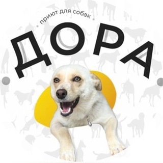 ВГОО «ОБЩЕСТВО ЗАЩИТЫ ДОМАШНИХ ЖИВОТНЫХ «ДОРА»
