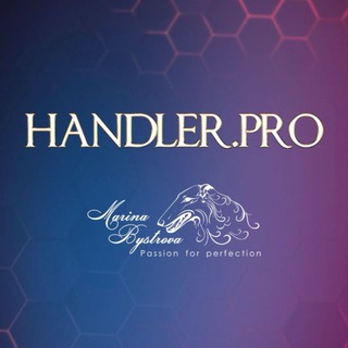 HANDLER.PRO