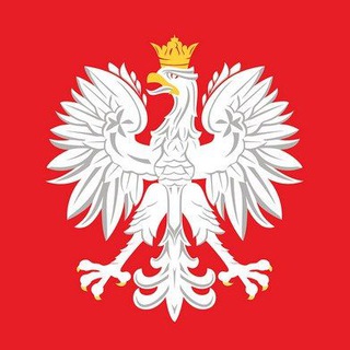 ПОЛЬСКИЙ В ОПРОСАХ  N+1