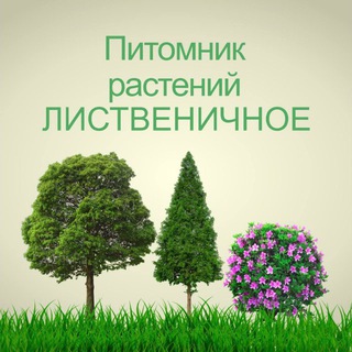 PITOMNIK LISTVENICHNOE