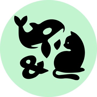 КИТ И КОТ