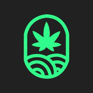JUICYFIELDS ESPAÑA
