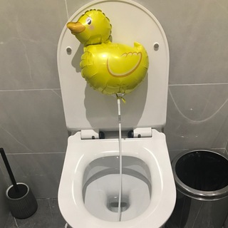 ТУАЛЕТНЫЙ УТЕНОК